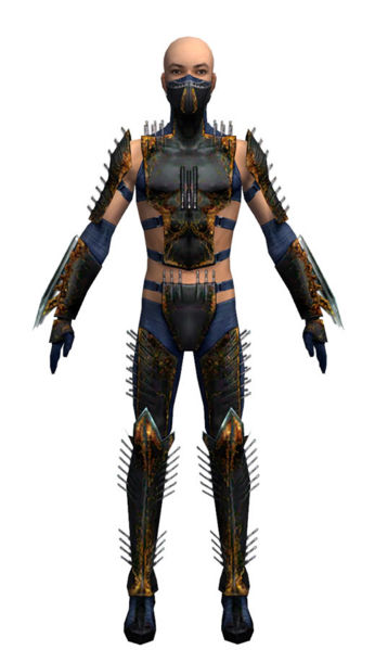 File:Assassin Exotic armor m dyed front.jpg