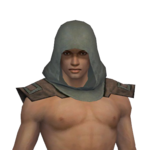 Dervish Istani Hood m gray front.png