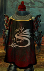 Guild Marked Souls cape.jpg