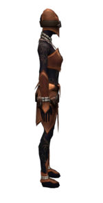 Ritualist Kurzick armor f dyed right.jpg