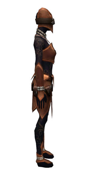 File:Ritualist Kurzick armor f dyed right.jpg