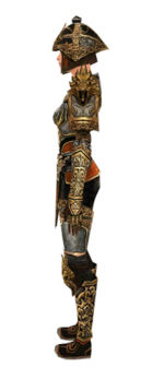 Warrior Elite Canthan armor f dyed left.jpg