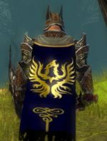 Guild Sacred Knights Of Orr cape.jpg