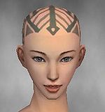 Monk Labyrinthine armor f gray front head.jpg