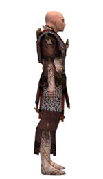 Monk Primeval armor m dyed right.jpg