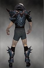 Necromancer Asuran armor m gray back chest feet.jpg