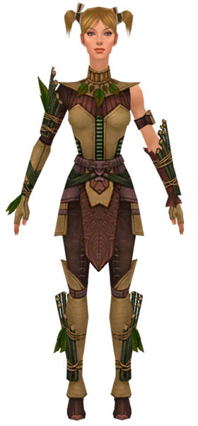File:Ranger Druid armor f dyed front.jpg