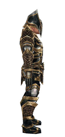 Gallery of male warrior Elite Kurzick armor - Guild Wars Wiki (GWW)
