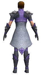 Elementalist Stoneforged armor m dyed back.jpg