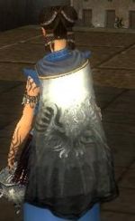 Guild Medieval Knights Of Darkness cape.jpg