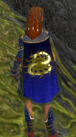Guild Naga cape.jpg