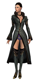 Mesmer Norn armor f gray front chest feet.png