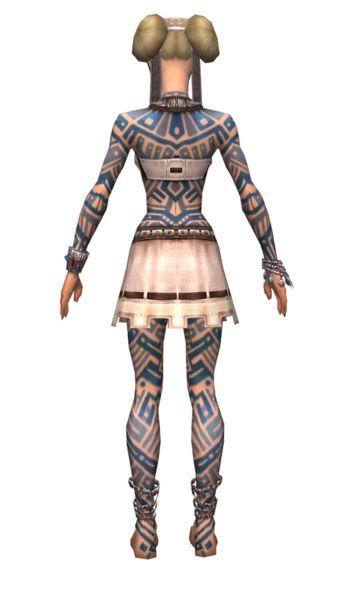 File:Monk Labyrinthine armor f dyed back.jpg