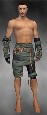 Ritualist Ancient armor m gray front arms legs.jpg
