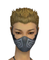 Assassin Luxon Mask f gray front.png