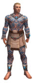 Monk Labyrinthine armor m.jpg