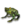 The Frog (miniature).png