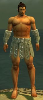 Warrior Ascalon armor m gray front arms legs.jpg