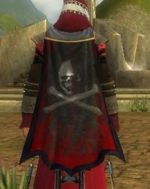 Guild Teh Reapers cape.jpg