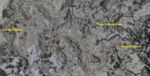Mineral Springs collectors map.jpg