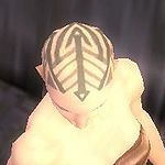 Monk Labyrinthine armor f gray top head.jpg