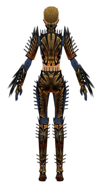 File:Assassin Elite Exotic armor f dyed back.jpg