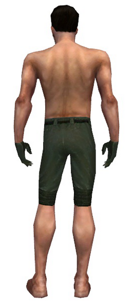 File:Mesmer Elite Luxon armor m gray back arms legs.png
