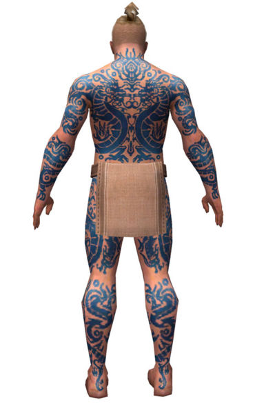 File:Monk Dragon armor m dyed back.jpg