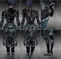 Screenshot Necromancer Tyrian armor f dyed Black.jpg