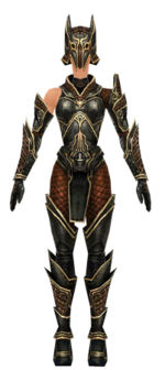 Warrior Kurzick armor f dyed front.jpg