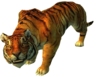 Tiger2.png