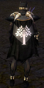Guild Knights Of The Willow Cape.jpg