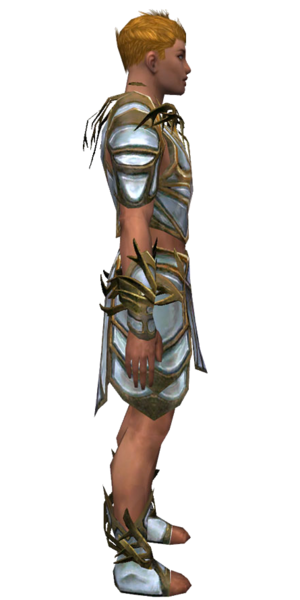 File:Paragon Primeval armor m dyed right.png