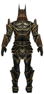 Warrior Kurzick armor m dyed back.jpg