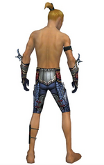 Assassin Monument armor m gray back arms legs.png