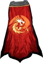 Guild Spell Crafters cape.jpg