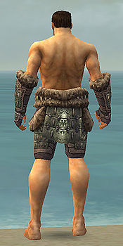 Warrior Charr Hide armor m gray back arms legs.jpg
