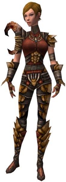 File:Ranger Elite Drakescale armor f.jpg