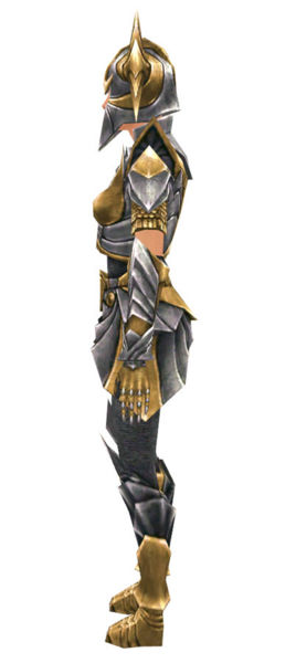 File:Warrior Templar armor f dyed left.jpg
