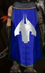 Guild Silver Mantle Knights cape.jpg