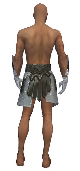 File:Paragon Elonian armor m gray back arms legs.png