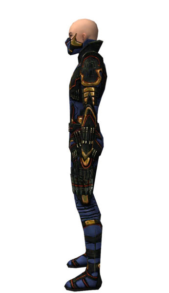 File:Assassin Elite Kurzick armor m dyed left.jpg