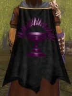 Guild The Warrior Priests cape.jpg