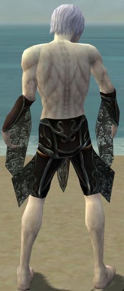 File:Necromancer Vabbian armor m gray back arms legs.jpg