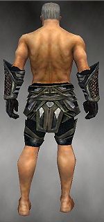Warrior Elite Kurzick armor m gray back arms legs.jpg