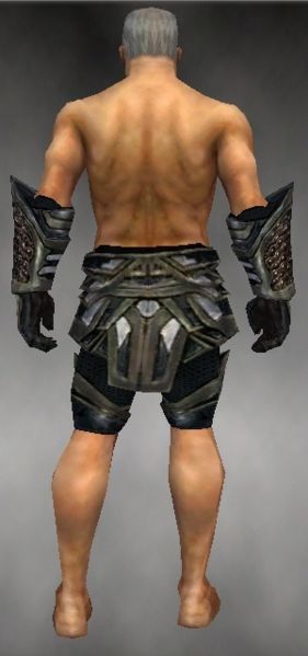 File:Warrior Elite Kurzick armor m gray back arms legs.jpg