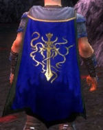 Guild The Order Of Rune cape.jpg