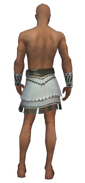File:Paragon Istani armor m gray back arms legs.png