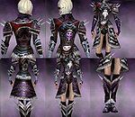 Screenshot Necromancer Norn armor f dyed Purple.jpg