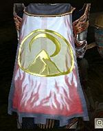 Guild Guild Of The Rising Moon cape.jpg